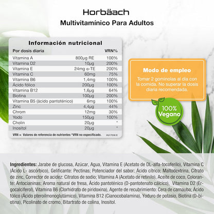 Gominolas Multivitaminas Y Minerales | 14 Multivitaminas Y Minerales Con Vitamina A, B12, C, D Y Zinc | 60 Gummies Sabor Fresa | De Horbaach