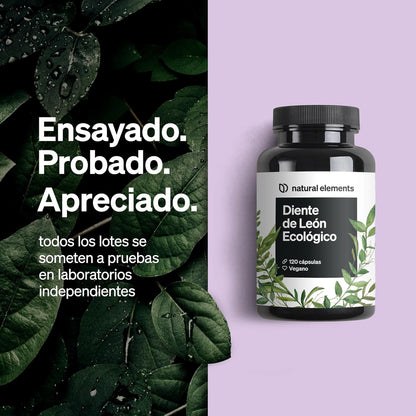 Diente De León Ecológico (10:1) - 1.000 Mg De Extracto De Raíz De Diente De León Por Dosis Diaria - 120 Cápsulas En Alta Dosificación - Probado En Laboratorio Y Vegano